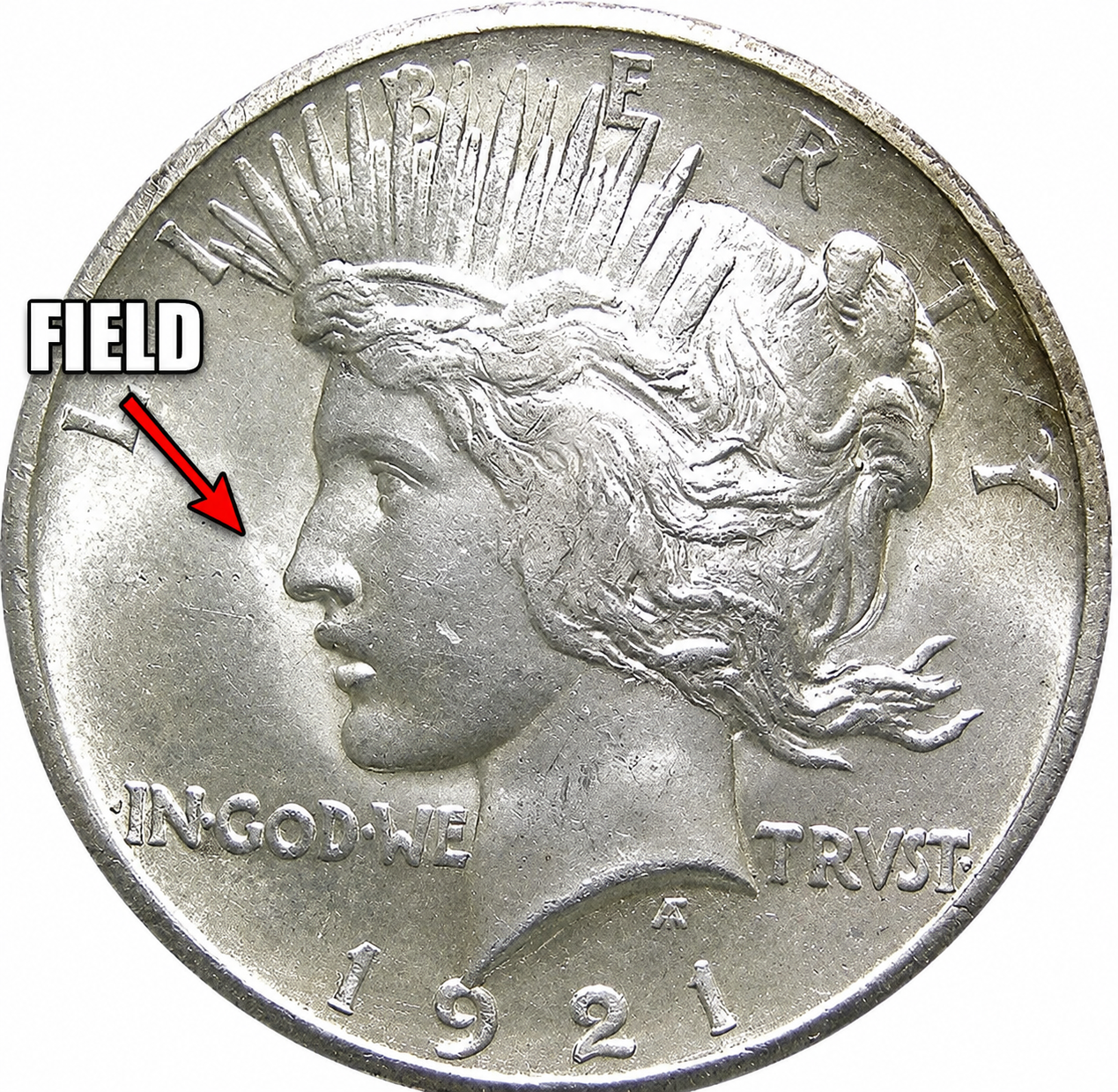 Coin Fields